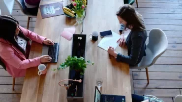 Persone che lavorano a un tavolo con computer portatili e piante.