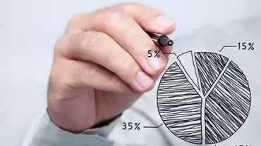 Persona disegna un grafico a torta con percentuali.